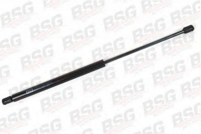 BSG bsg30980019 -  