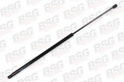 BSG bsg30980020 -  