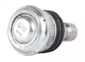 BSG bsg40310061 -  