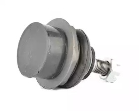 BSG bsg40310062 -