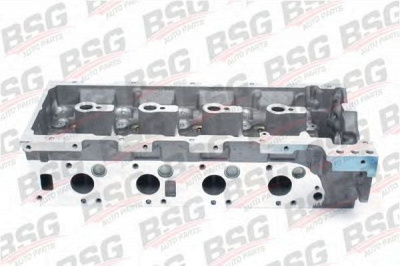 BSG bsg60110001 -