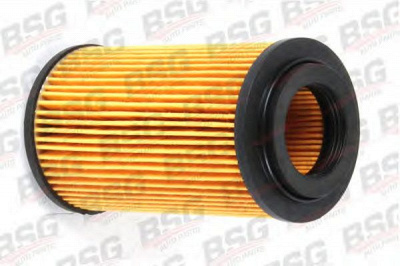 BSG bsg60130002 -