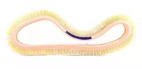 BSG bsg60135006 -  