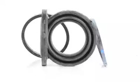 BSG bsg60250004 -