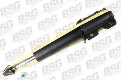 BSG bsg60300001 -  