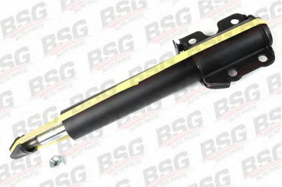 BSG bsg60300003 -