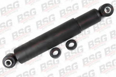BSG bsg60300004 -  