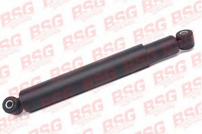 BSG bsg60300007 -