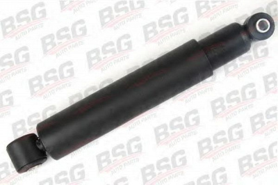 BSG bsg60300008 -