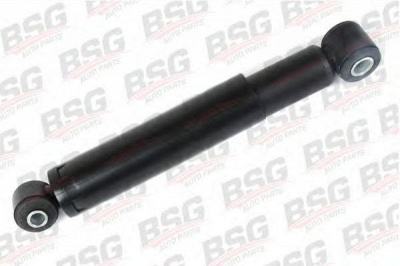 BSG bsg60300009 -  
