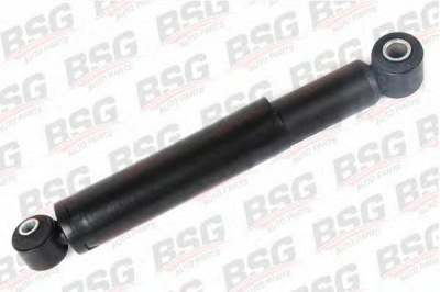 BSG bsg60300010 -  