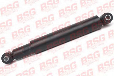 BSG bsg60300011 -