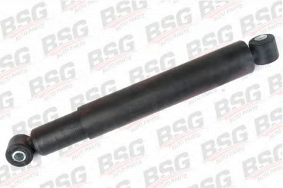 BSG bsg60300012 -  