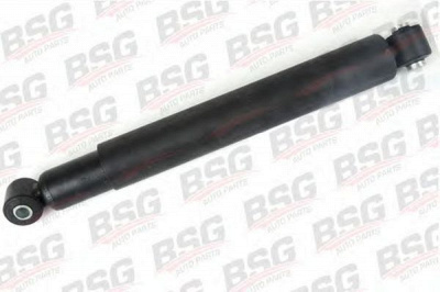 BSG bsg60300013 -