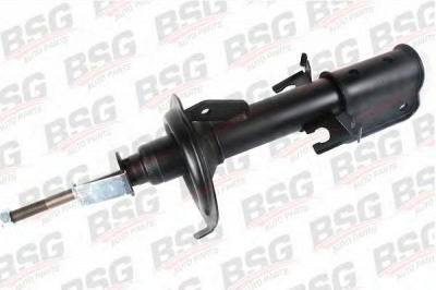 BSG bsg60300016 -