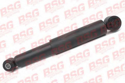 BSG bsg60300017 -