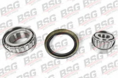 BSG bsg60600001 -  