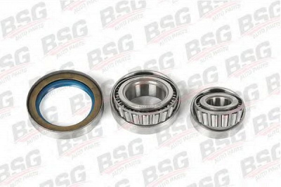 BSG bsg60600003 -