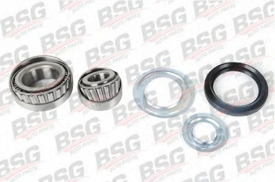 BSG bsg60600005 -  