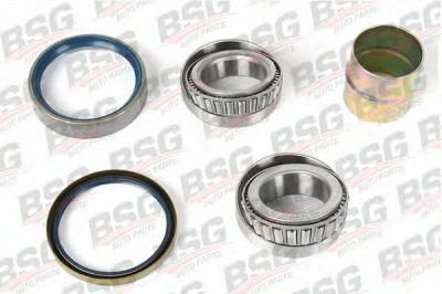BSG bsg60600006 -  