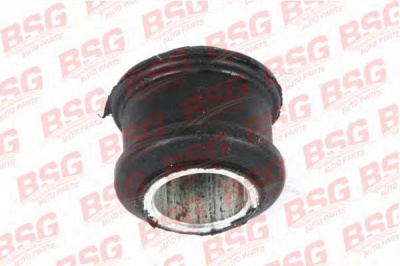 BSG bsg60700011 -