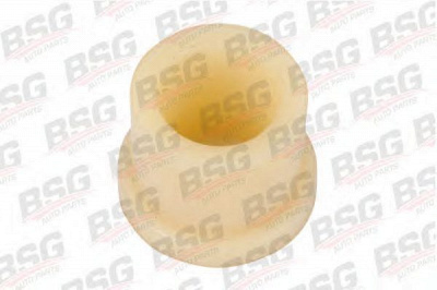 BSG bsg60700014 -