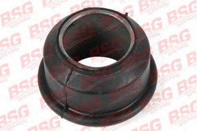 BSG bsg60700023 -
