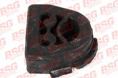 BSG bsg60700024 -  