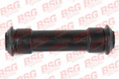 BSG bsg60700030 -  