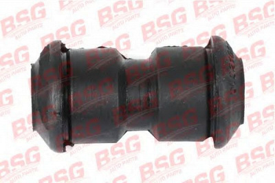 BSG bsg60700065 -  