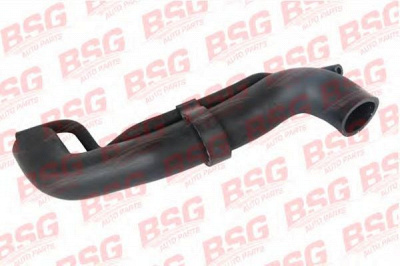 BSG bsg60720001 -