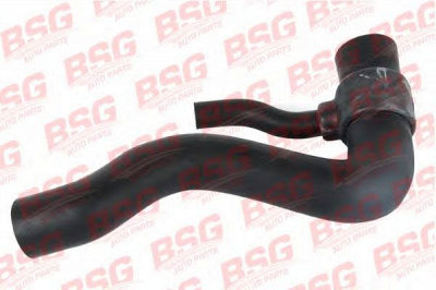 BSG bsg60720002 -