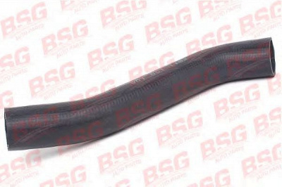 BSG bsg60720004 -  