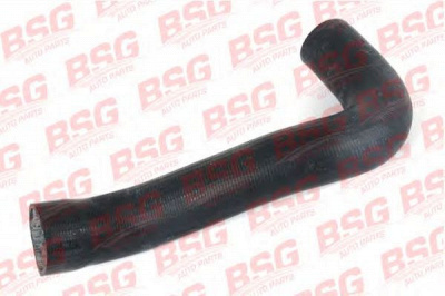 BSG bsg60720006 -