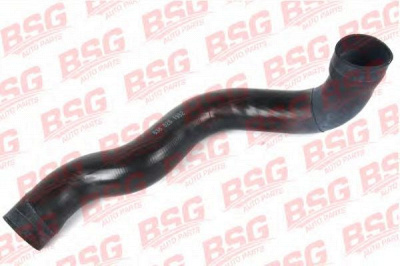 BSG bsg60720011 -