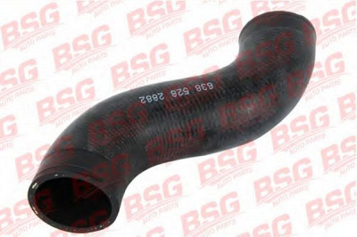 BSG bsg60720013 -