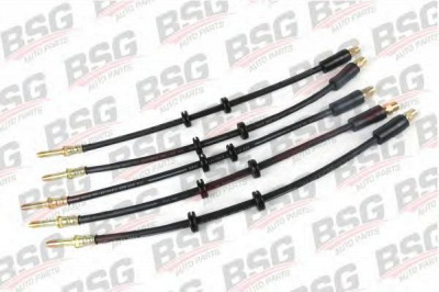 BSG bsg60730004 -