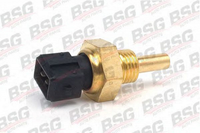 BSG bsg60840010 -  
