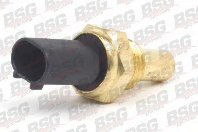 BSG bsg60840013 -  