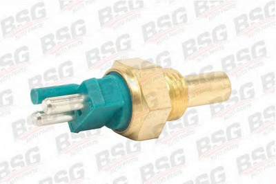 BSG bsg60840014 -  