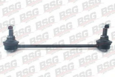 BSG bsg65310010 -