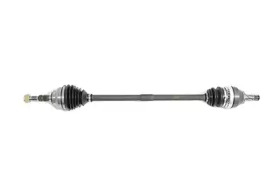 BSG bsg65350007 -  