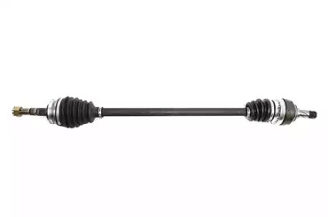 BSG bsg65350021 -