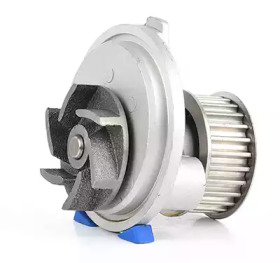 BSG bsg65500007 -  