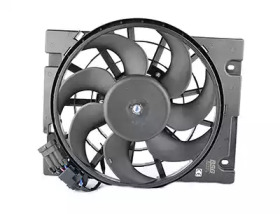 BSG bsg65510017 -