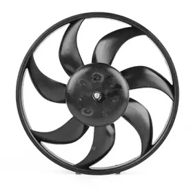 BSG bsg65510019 -
