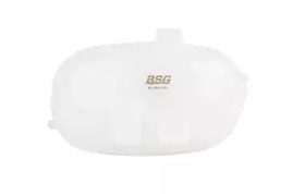 BSG bsg65550011 -