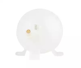 BSG bsg65550012 -