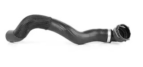 BSG bsg65720059 -
