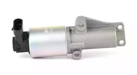 BSG bsg65836009 -  